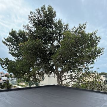 EiliGarden - Sintra - Land Clearance