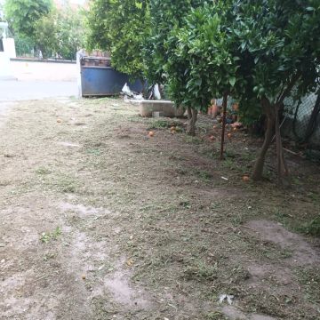 Baptista Jardins e Serviços - Ílhavo - Outdoor Landscaping