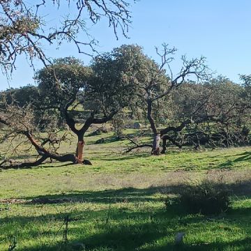 prestação de serviços rural - Viana do Alentejo - Handyman