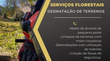 Tiago Carvalho - Santo Tirso - Remoção de Ervas Daninhas