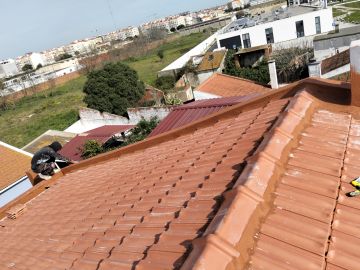 Ritmos 23 - Montijo - Mantenimiento del sistema de riego por goteo