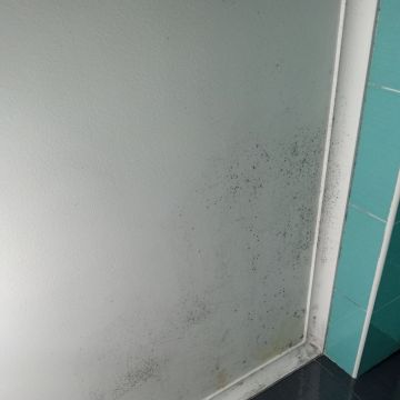 Aram clean - Ansião - Familie und Haushalt