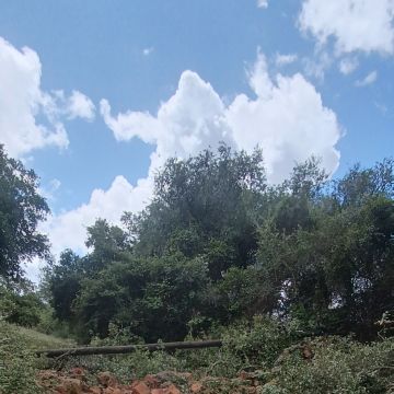 prestação de serviços rural - Viana do Alentejo - Handyman