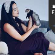 EXOPETSITTING - Pet-sitting Animais Exóticos e Acupuntura Veterinária - Mafra - Pet Hotel