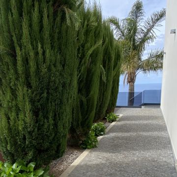 Madeira Build - Funchal - Carpintería
