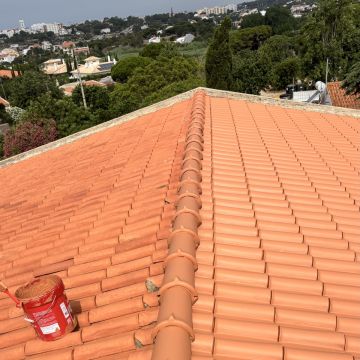 RS PINTURAS ALGARVE - Faro - Poda y mantenimiento de árboles