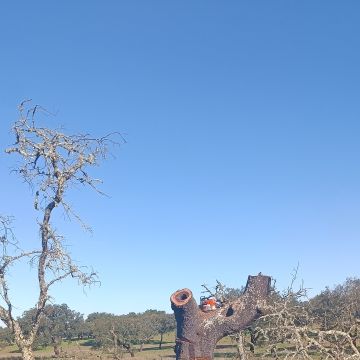 prestação de serviços rural - Viana do Alentejo - Handyman