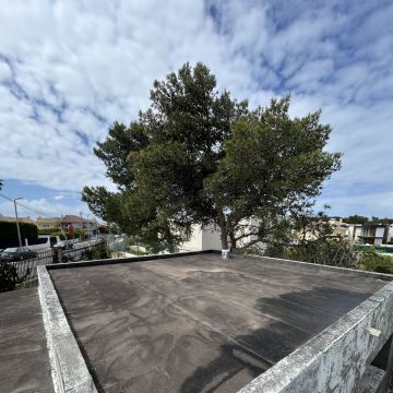 EiliGarden - Sintra - Multi Service Lawn Care