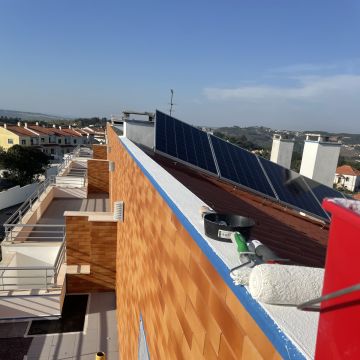 XIV Multiservice - Óbidos - Tree Trimming and Maintenance