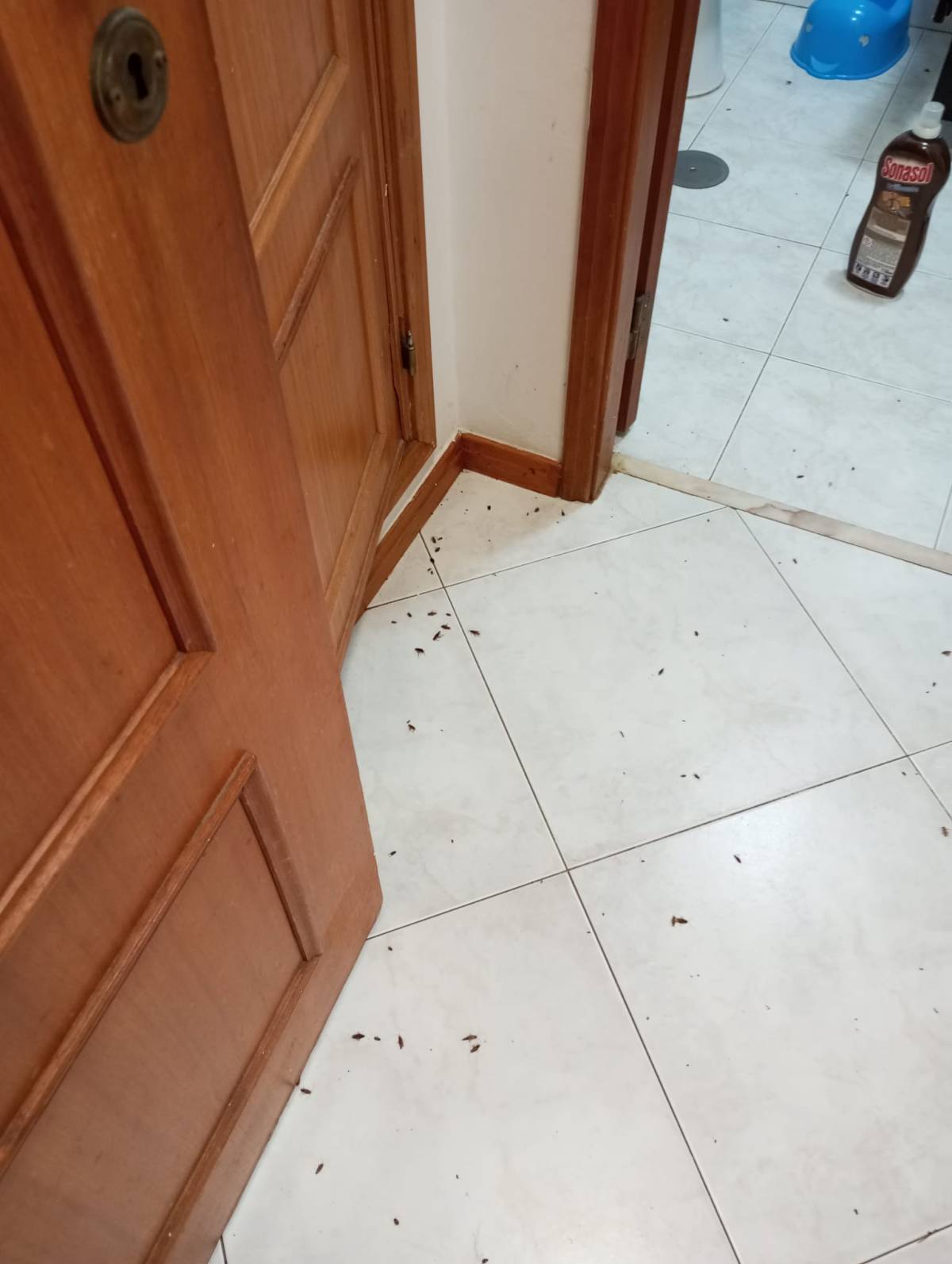 Abpossibility unipessoal Lda - Sintra - Property Cleanup
