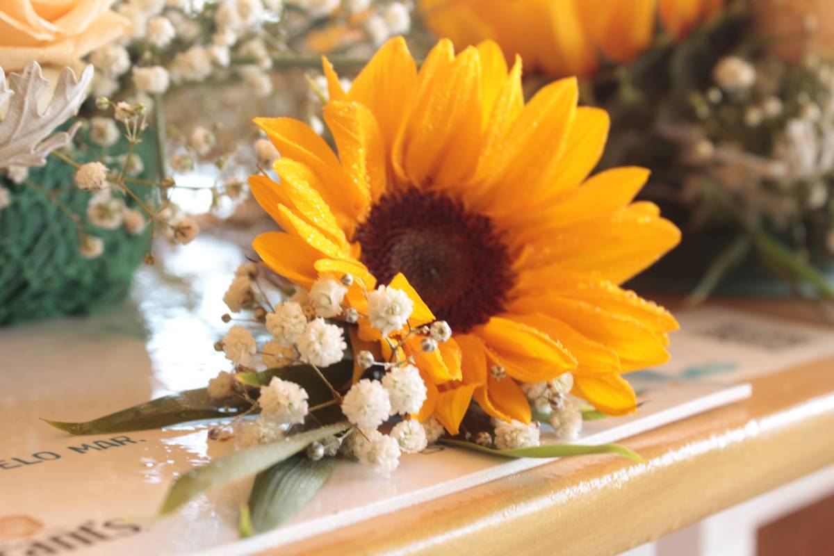 VeraFiori - Mafra - Florists