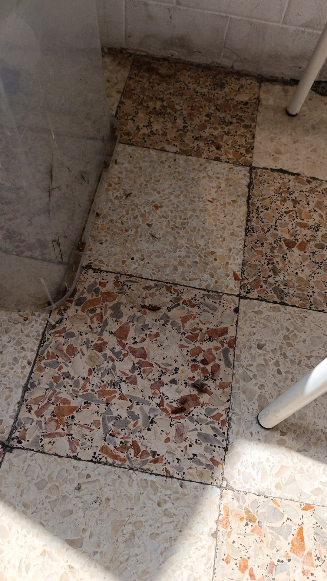 Abpossibility unipessoal Lda - Sintra - Commercial Cleaning