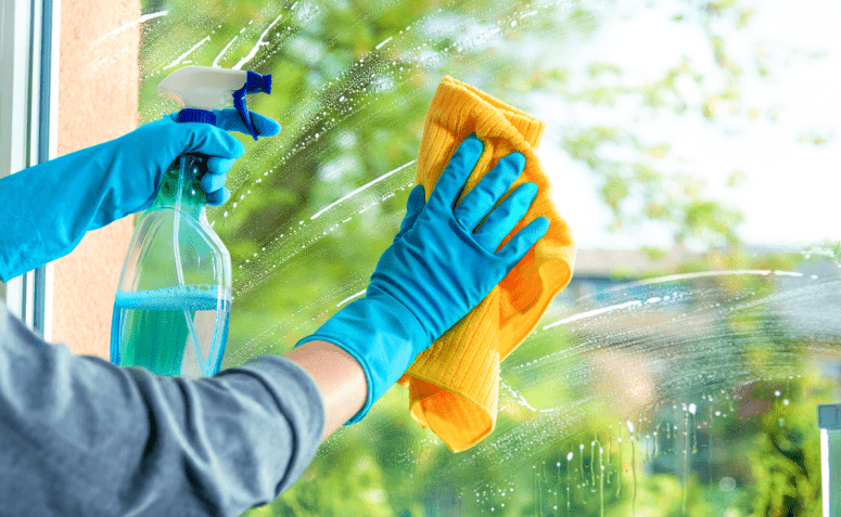 LIMPXCEL - Sesimbra - Tree Trimming and Maintenance
