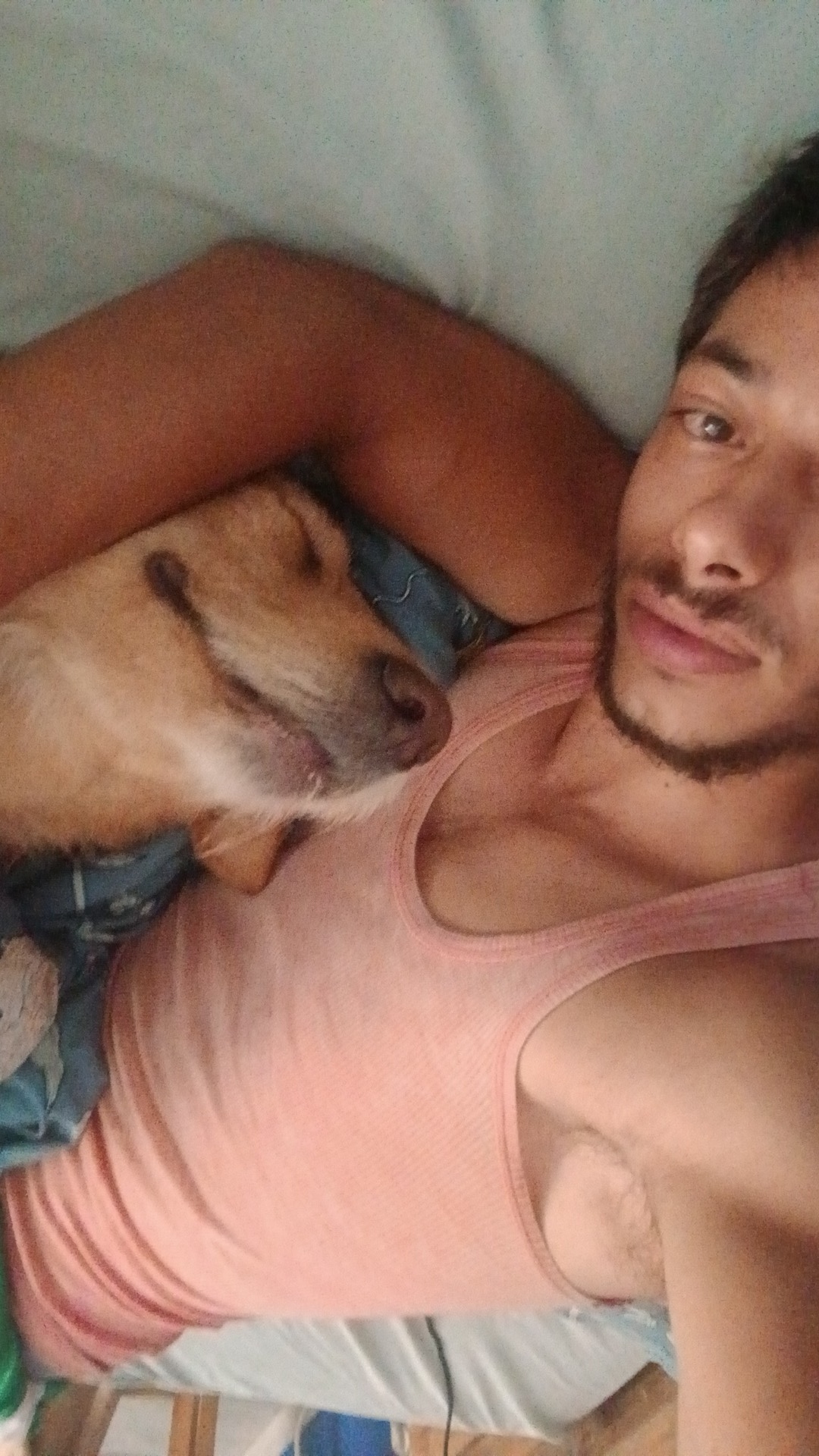 Leandro Machado - Chaves - Banhos e Tosquias para Animais
