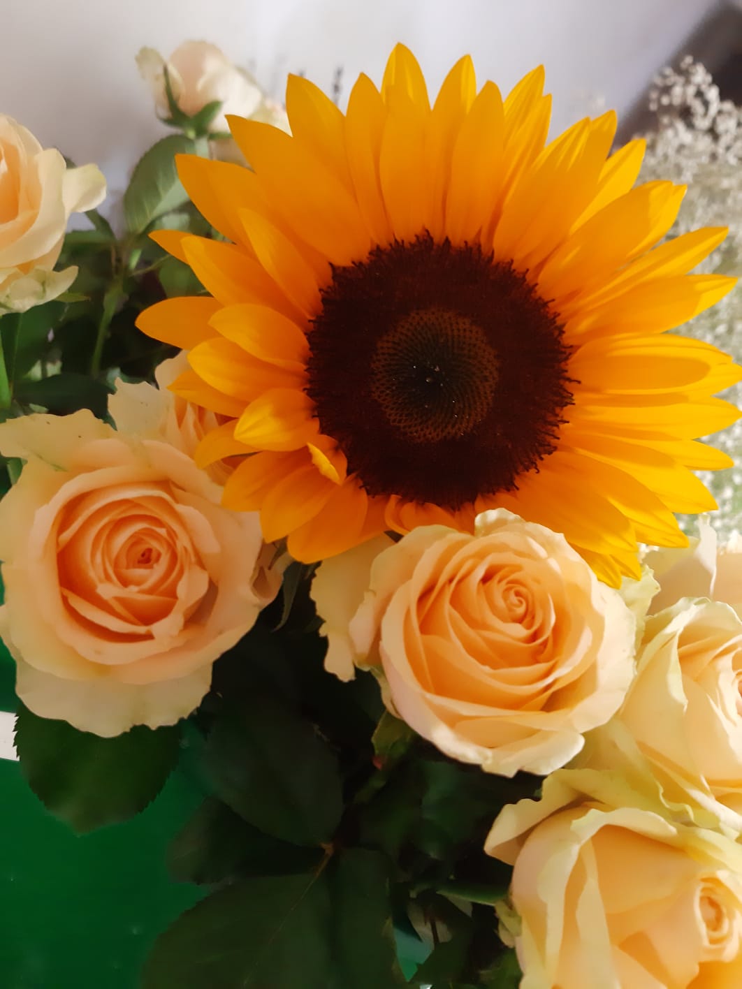 VeraFiori - Mafra - Florists