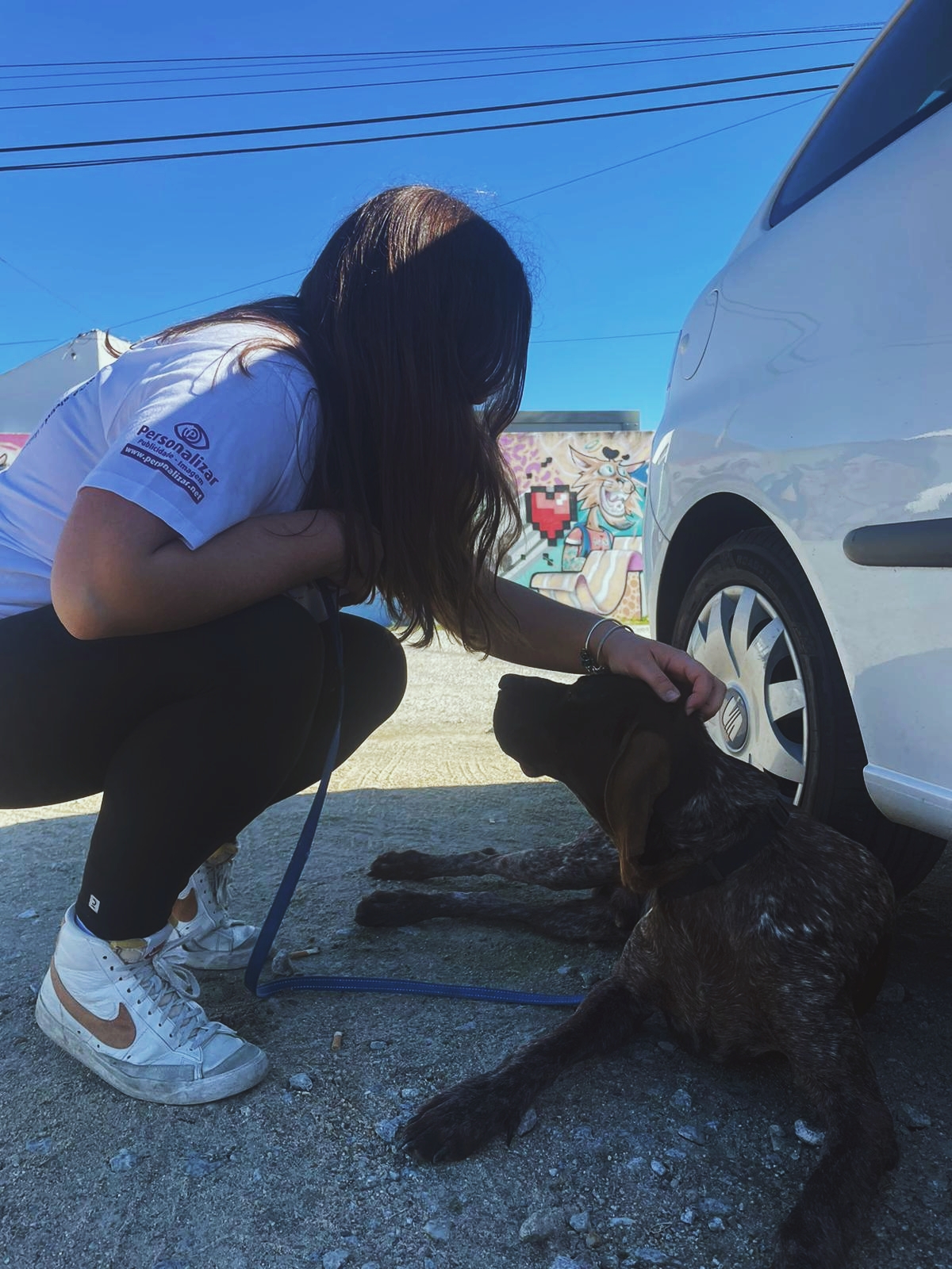 Diana Paulos - Évora - Dog Sitting