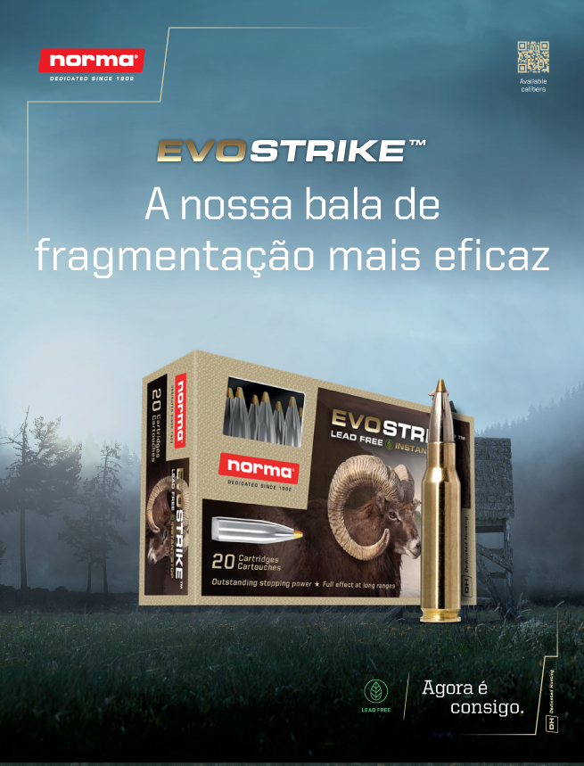 Marcelo Gonçalves - Benavente - Marketing em Motores de Busca (SEM)