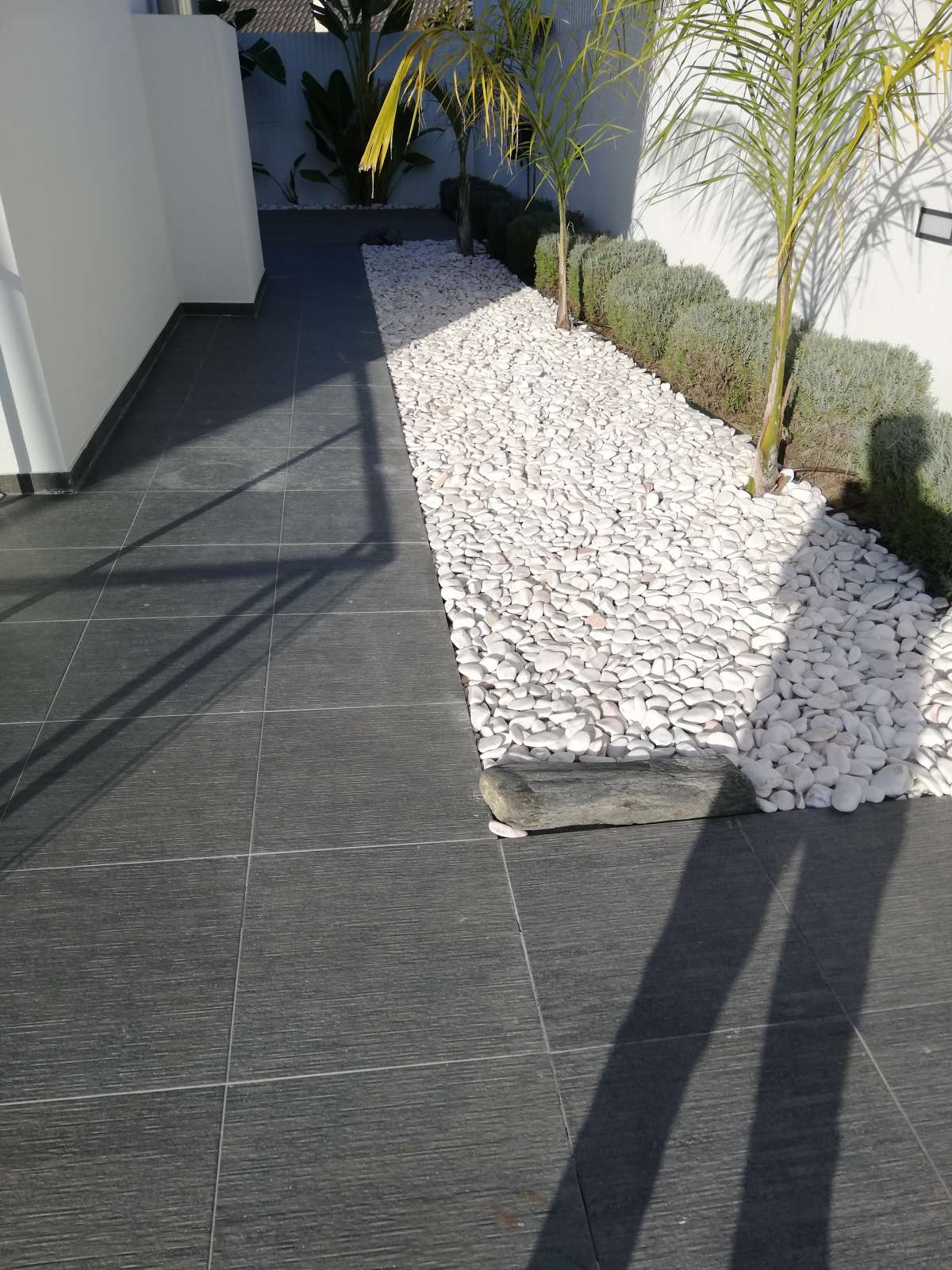 Paulo Santos - Almada - Greenhouse Services