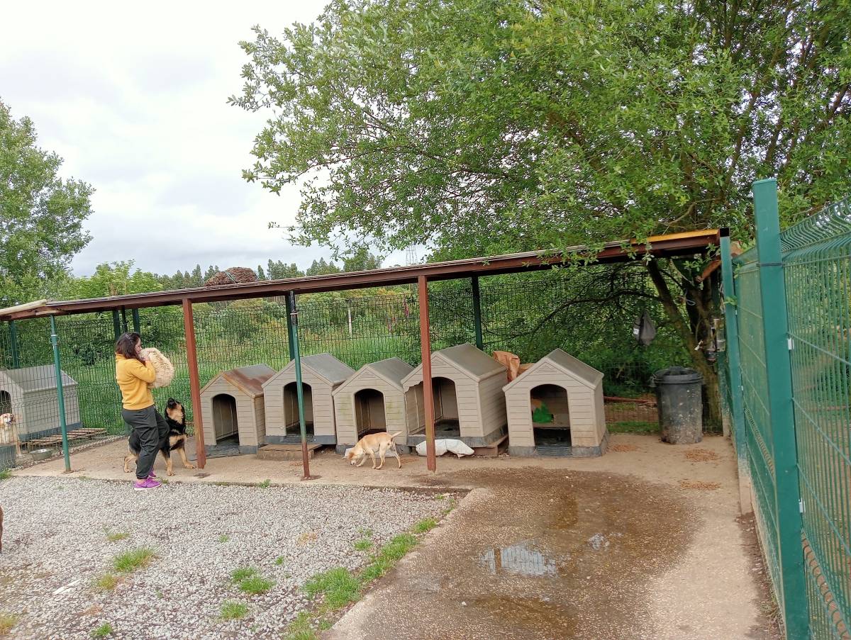Franklin Mendoza - Santa Maria da Feira - Steel Materials and Gates