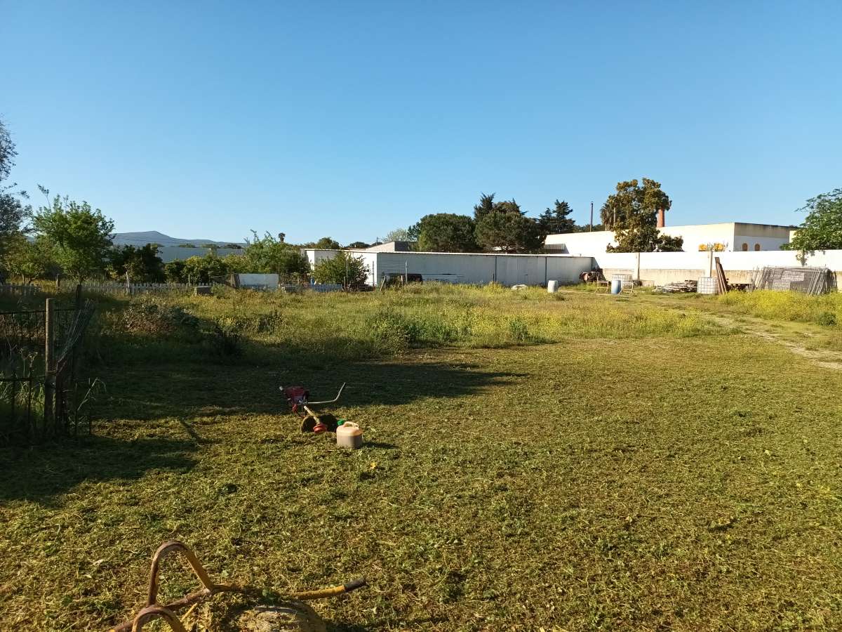 Paulo Santos - Almada - Drip Irrigation System Installation