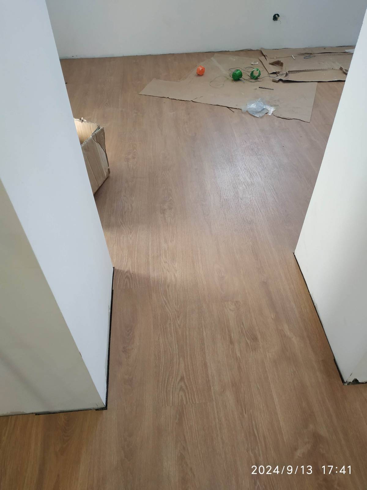 Rogério de Souza Fernandes - Figueira da Foz - Nettoyage de toiture