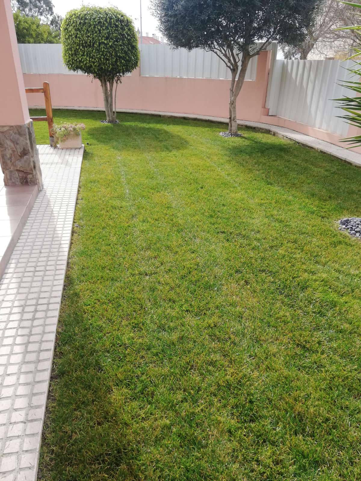 Paulo Santos - Almada - Property Cleanup