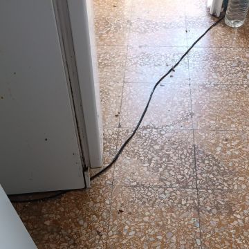 Abpossibility unipessoal Lda - Sintra - Bed Bug Extermination
