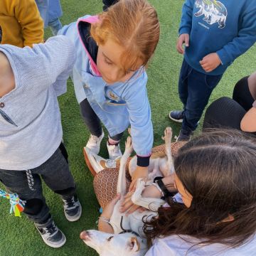 Diana Paulos - Évora - Pet Sitting