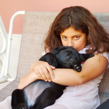 Letícia Monteiro - Mafra - Cat Sitting