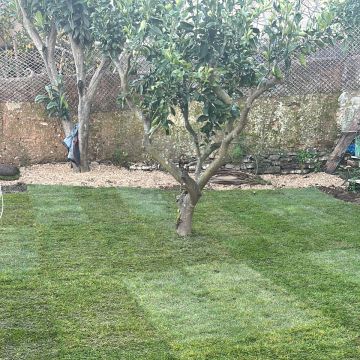 Rgarden service - Portimão - Poda e Manutenção de Árvores