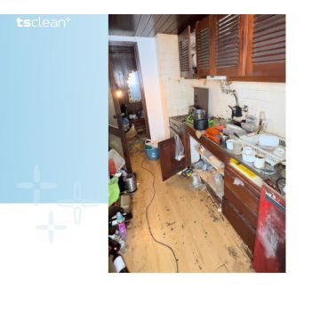 Tsclean.pt - Almada - Property Cleanup