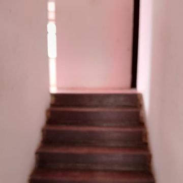 Audi de Almeida - Loures - Property Cleanup