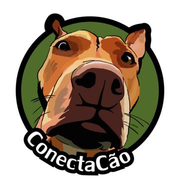 ConectaCão - Ílhavo - Dog Training - Private Lessons