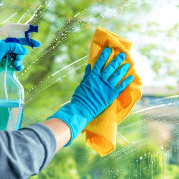 LIMPXCEL - Sesimbra - Tree Trimming and Maintenance