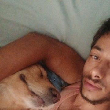 Leandro Machado - Chaves - Banhos e Tosquias para Animais