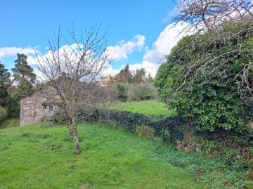 Serviço de Jardinagem