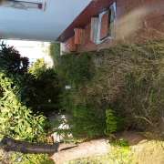Paulo Santos - Almada - Tree Planting