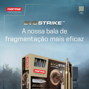 Marcelo Gonçalves - Benavente - Marketing em Motores de Busca (SEM)