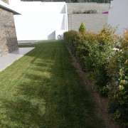Paulo Santos - Almada - Multi Service Lawn Care
