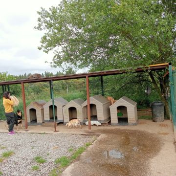 Franklin Mendoza - Santa Maria da Feira - Steel Materials and Gates