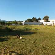 Paulo Santos - Almada - Drip Irrigation System Installation