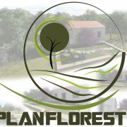 PLANFLOREST - Ourém - Colocação de Pedra