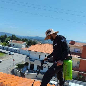 Alex Araújo - Vila Nova de Gaia - Plumbing Pipe Installation
