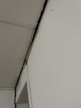 Especialista de Obras - Casa