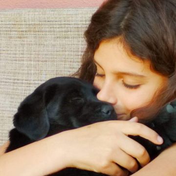 Letícia Monteiro - Mafra - Dog Walking