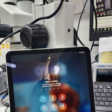 Apple Fix - Reparação de Telemóveis - Torres Novas - Servicios de reparación de mesas de billar
