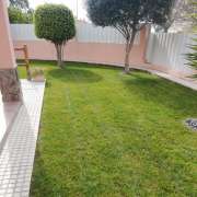 Paulo Santos - Almada - Property Cleanup
