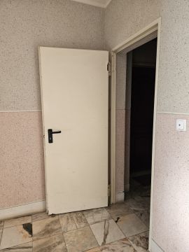 Door Painter