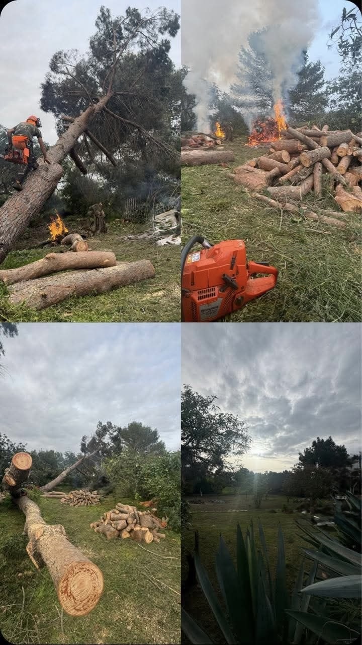 Imoconstruções - Alcácer do Sal - Hausreinigung (regelmäßig)