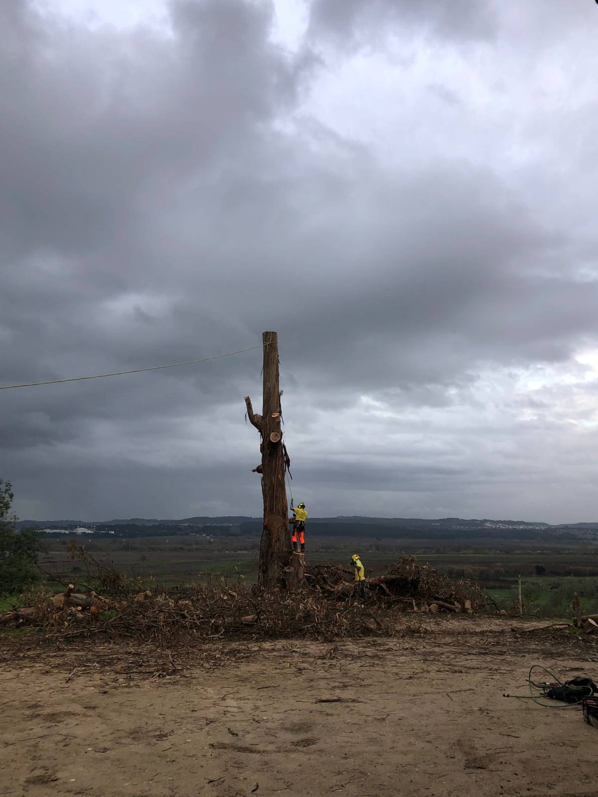 Sagui Arboricultura - Porto de Mós - Estufas